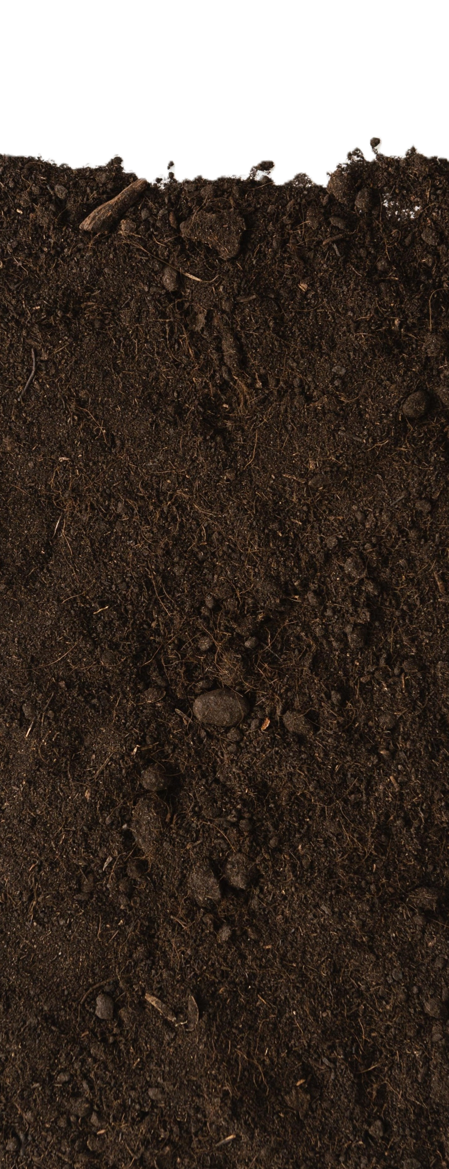 Decorative soil and plant roots illustration behind the footer