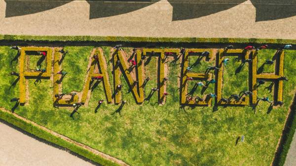 PlantTech Kenya team providing customer support