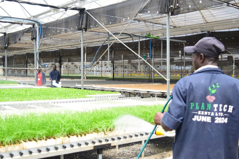 Plantech Kenya, Benefiting Thousands of Farmers with Quality Seedlings.