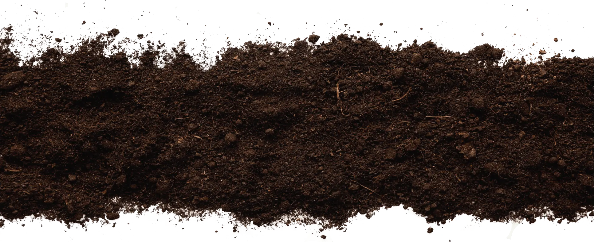 Rich soil divisions for plant propagation at PlantTech Kenya