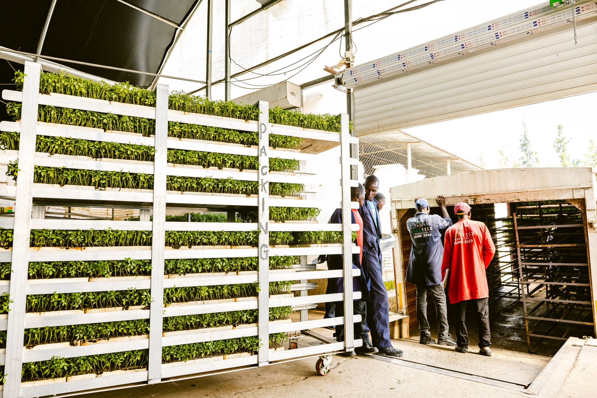 PlantTech Kenya benefiting farmers with quality seedlings