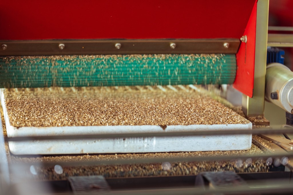 How Plantech Kenya is Leading the Way in Agricultural Innovation