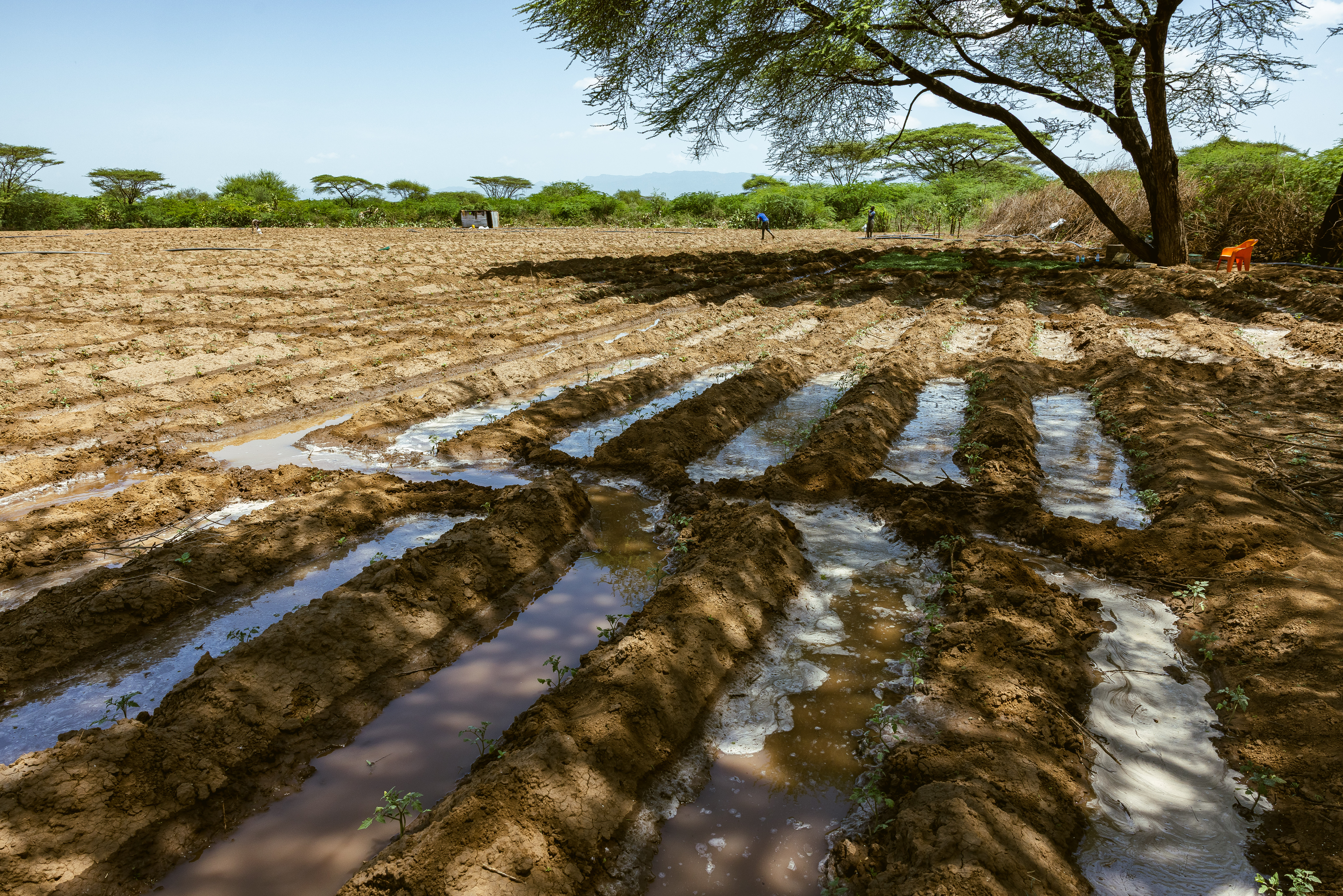 PlantTech Kenya empowering farmers through knowledge and education
