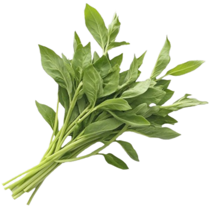 Tarragon