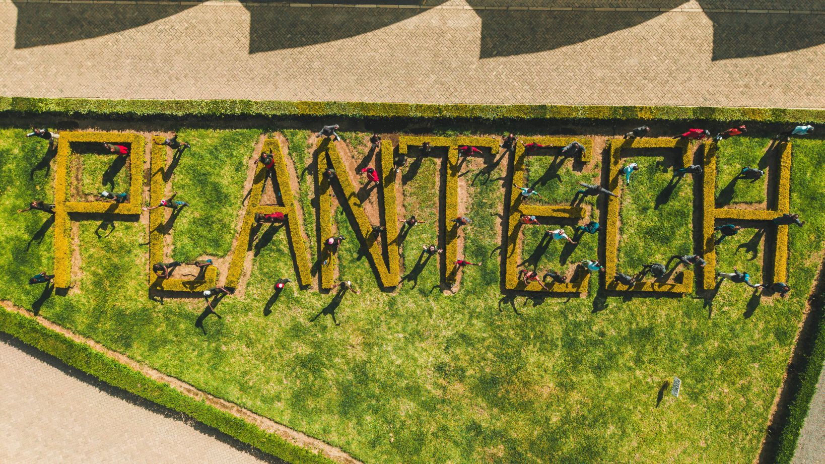 PlantTech Kenya team providing customer support