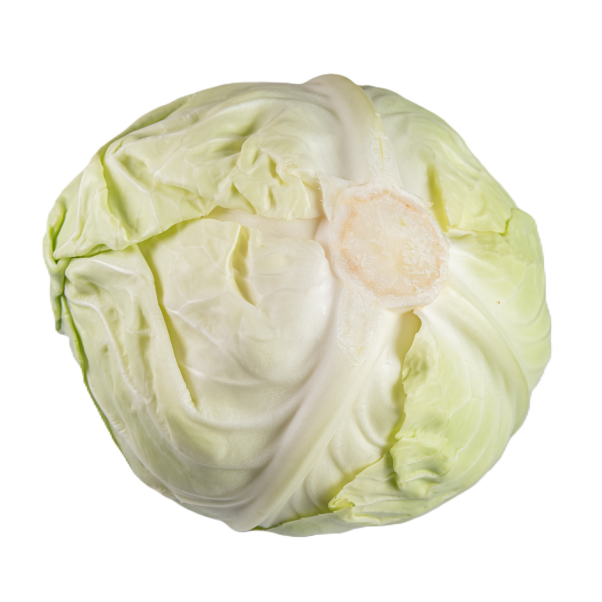 Cabbage